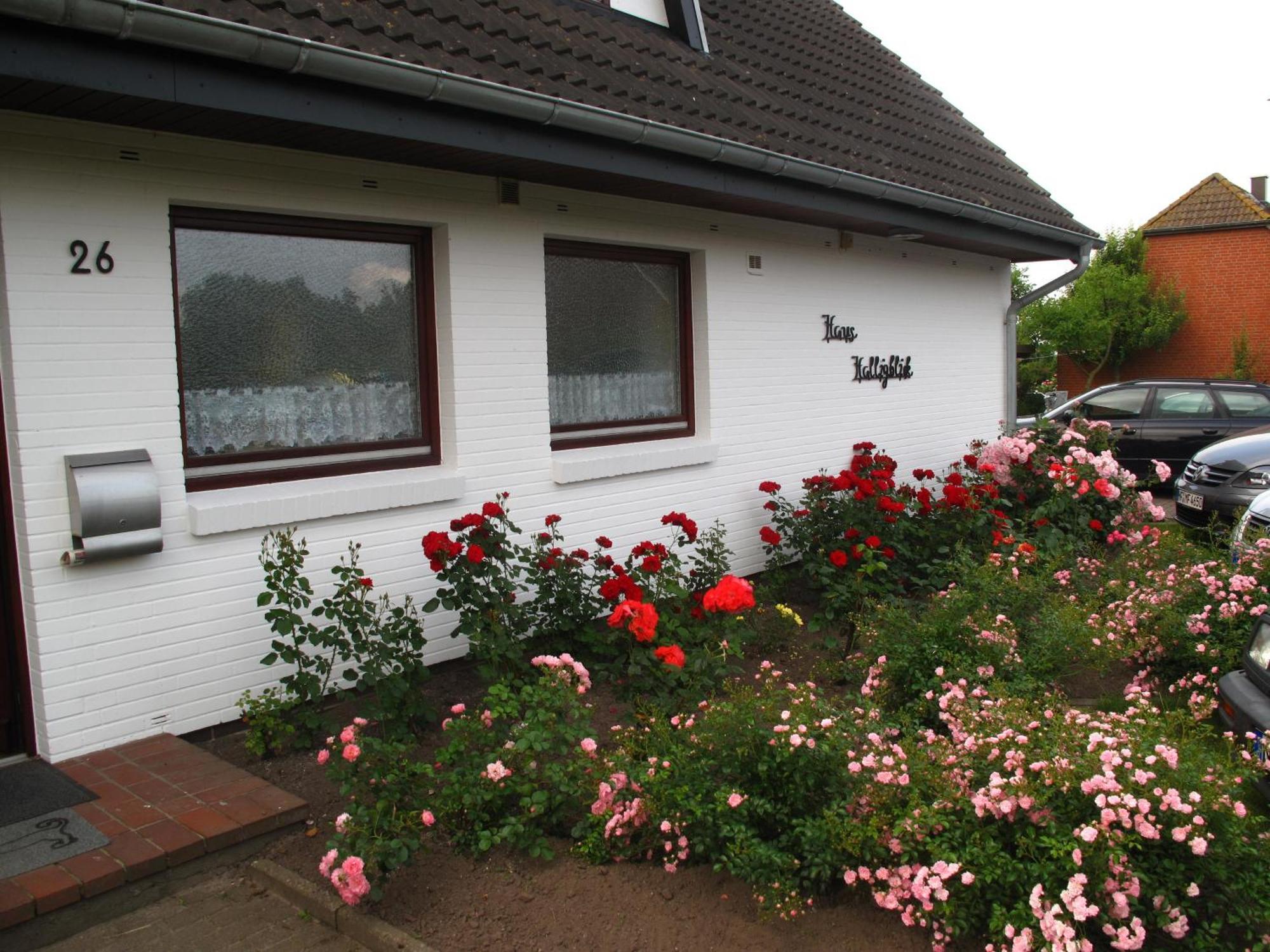 Haus Halligblick, Ferienwohnungen Am Wattenmeer, Whg Hamburger Hallig 다게불 외부 사진