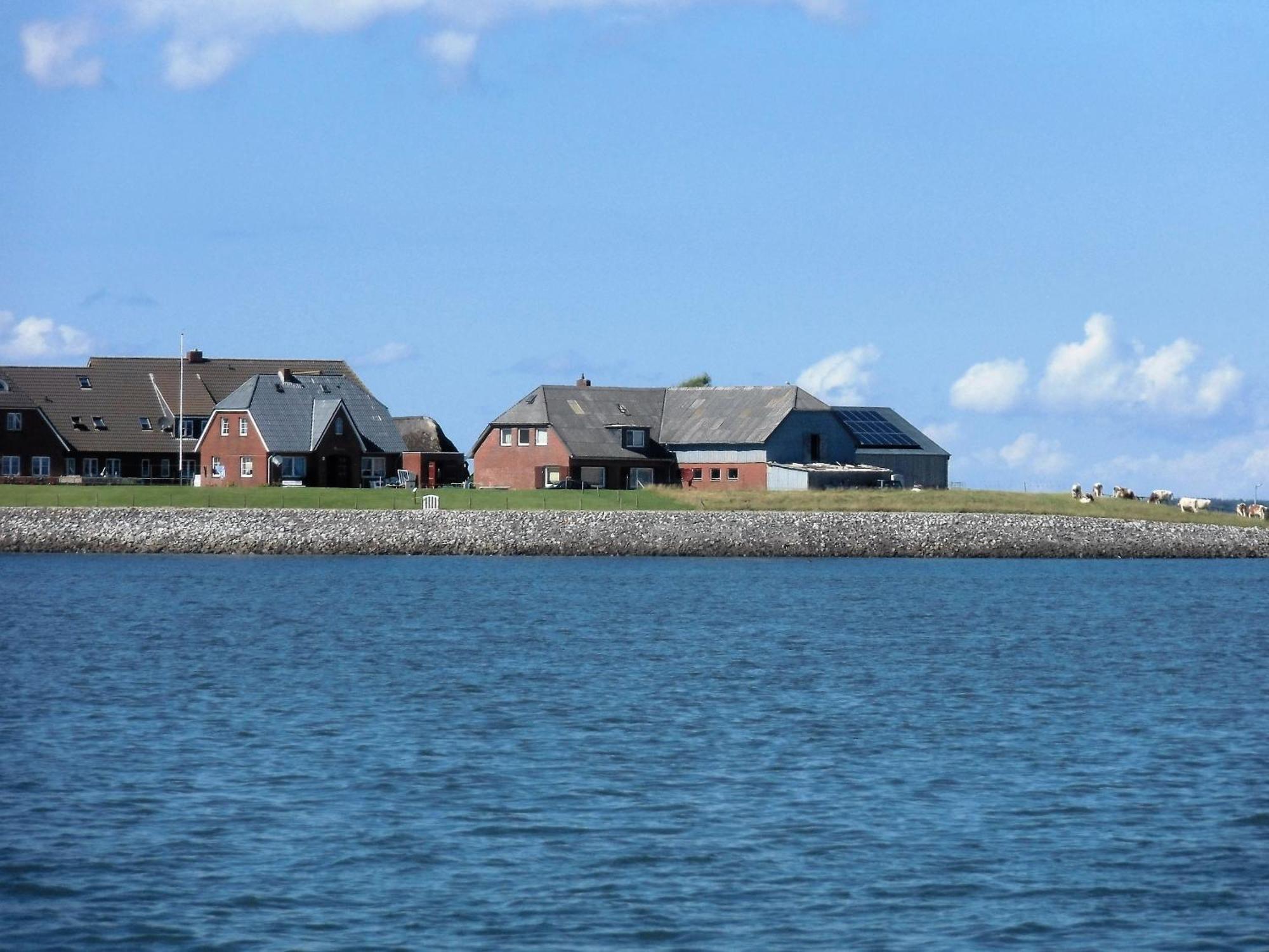 Haus Halligblick, Ferienwohnungen Am Wattenmeer, Whg Hamburger Hallig 다게불 외부 사진